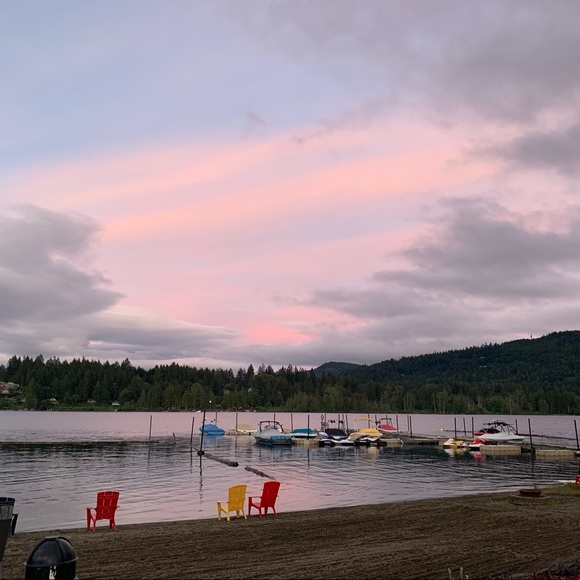 Meet your Posher, Sophie 🇨🇦 - Picture 1 of 1